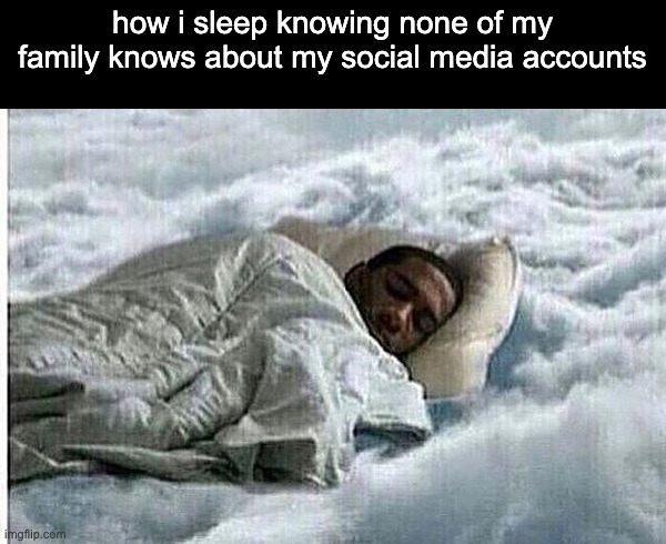 snnnnrrrr mimimimimi | how i sleep knowing none of my family knows about my social media accounts | image tagged in how i sleep | made w/ Imgflip meme maker