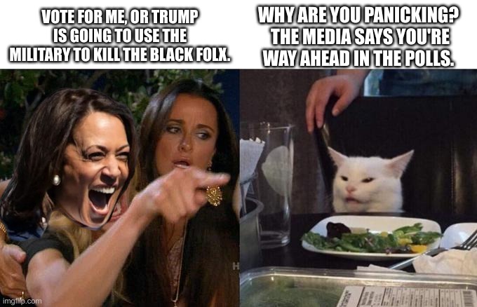 Woman Yelling At Cat Meme | VOTE FOR ME, OR TRUMP IS GOING TO USE THE MILITARY TO KILL THE BLACK FOLX. WHY ARE YOU PANICKING?  THE MEDIA SAYS YOU'RE WAY AHEAD IN THE POLLS. | image tagged in memes,woman yelling at cat | made w/ Imgflip meme maker