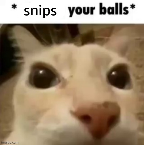 X your balls | snips | image tagged in x your balls | made w/ Imgflip meme maker