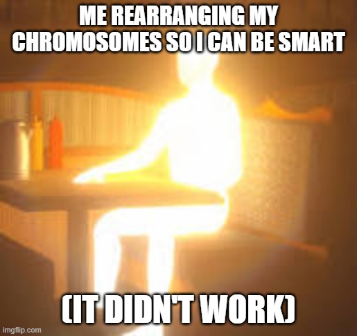 Just a meme | ME REARRANGING MY CHROMOSOMES SO I CAN BE SMART; (IT DIDN'T WORK) | image tagged in man made of light | made w/ Imgflip meme maker