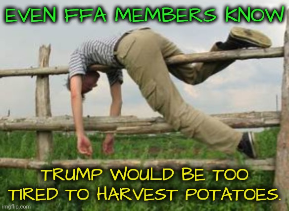 New Gen Farmers Aren't Fooled by His Fries | EVEN FFA MEMBERS KNOW; TRUMP WOULD BE TOO TIRED TO HARVEST POTATOES. | image tagged in donald trump,farmers,mcdonalds,dnc,rural america,msnbc | made w/ Imgflip meme maker