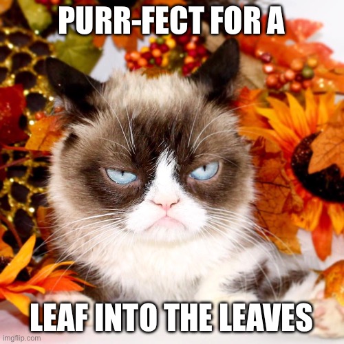 Grumpy Cat Autumn | PURR-FECT FOR A LEAF INTO THE LEAVES | image tagged in grumpy cat autumn | made w/ Imgflip meme maker