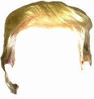 Trump hair Blank Meme Template