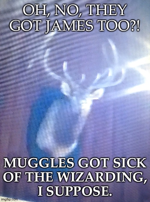 Might repost this on my phone to see if I can get a better quality. | OH, NO, THEY GOT JAMES TOO?! MUGGLES GOT SICK
OF THE WIZARDING,
I SUPPOSE. | image tagged in r i p james potter,james potter,oh no not prongs,harry potter,totally not running on my last brain cell rn | made w/ Imgflip meme maker