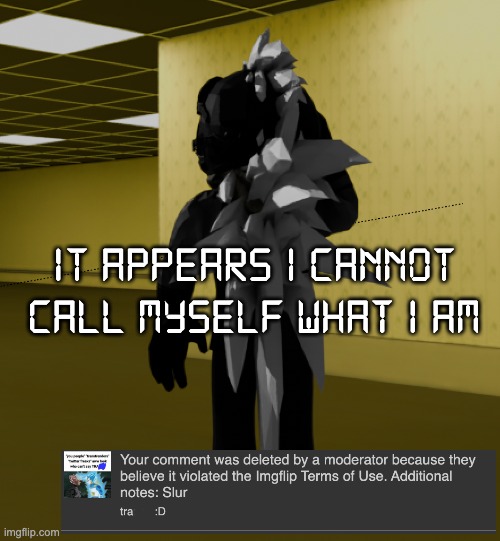 damn. | it appears i cannot call myself what i am | image tagged in backroom template | made w/ Imgflip meme maker