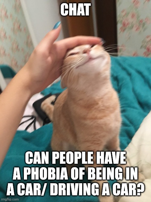 :3 ?? | CHAT; CAN PEOPLE HAVE A PHOBIA OF BEING IN A CAR/ DRIVING A CAR? | image tagged in cat pat | made w/ Imgflip meme maker