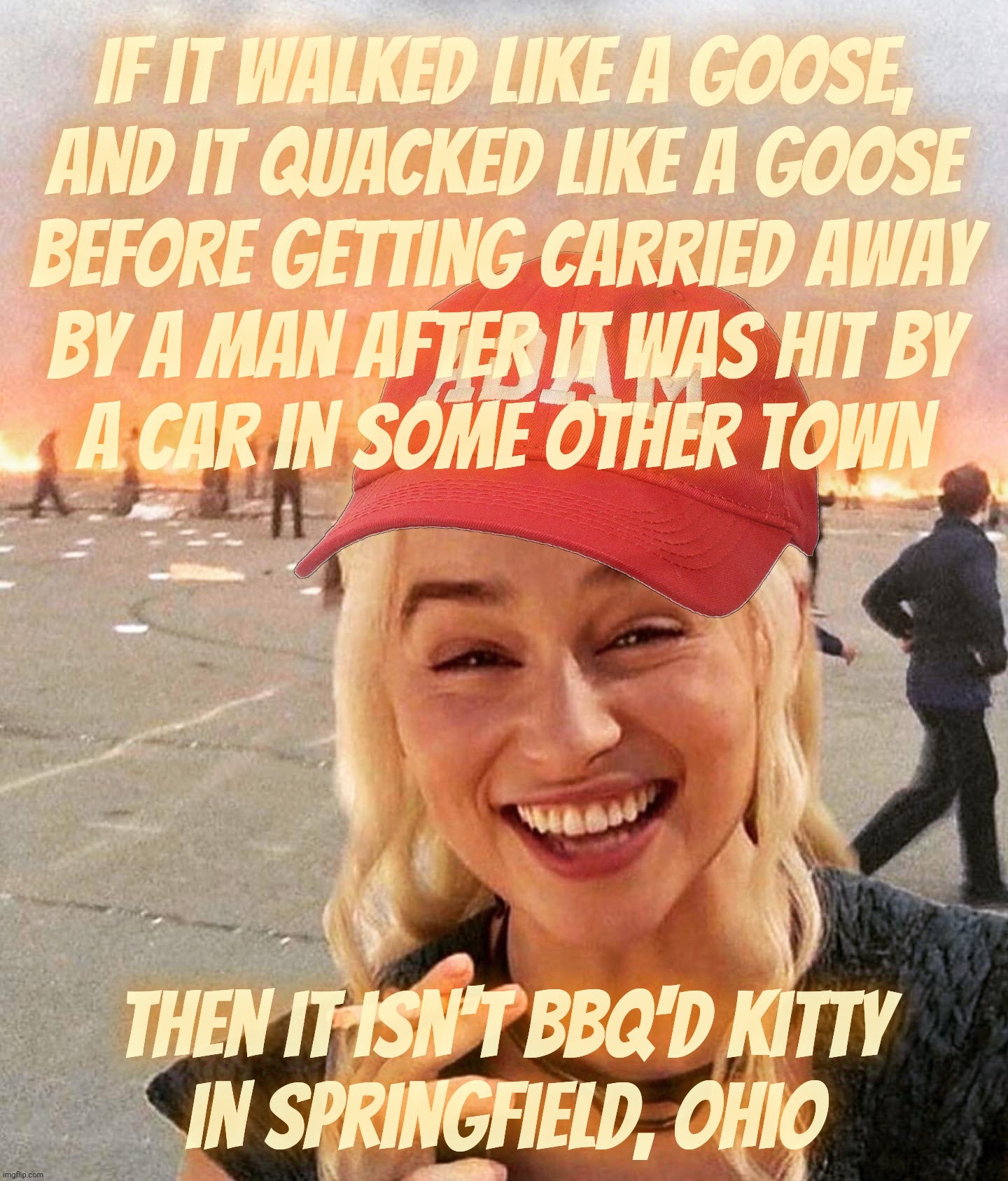 Dead goose is proof of they're eating the cats according to the MAGAts | If it walked like a goose,
and it quacked like a goose
Before getting carried away
by a man after it was hit by
a car in some other town; Then it isn't BBQ'd kitty
in Springfield, Ohio | image tagged in disaster smoker girl maga edition,dead goose,they're eating the cats,somebody said it on facebook so it's true,trump lies | made w/ Imgflip meme maker