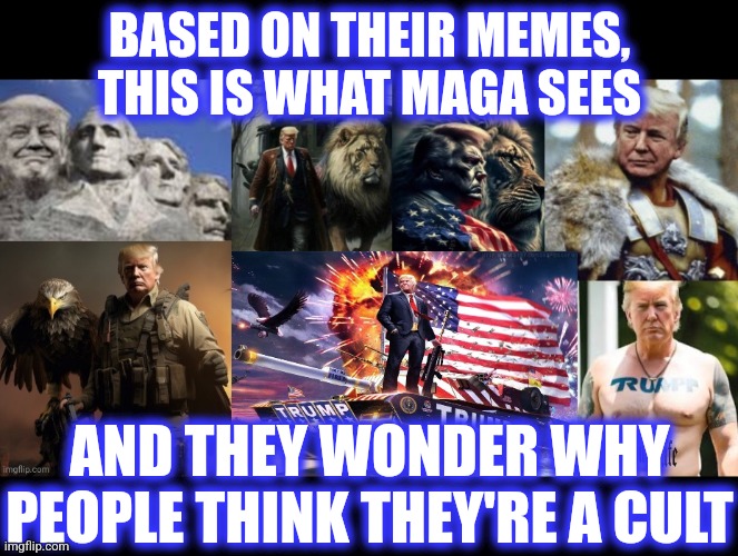 BASED ON THEIR MEMES, THIS IS WHAT MAGA SEES AND THEY WONDER WHY PEOPLE THINK THEY'RE A CULT | made w/ Imgflip meme maker