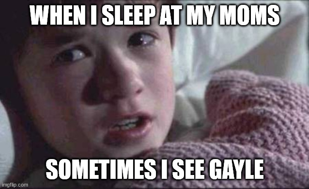 I See Dead People Meme | WHEN I SLEEP AT MY MOMS; SOMETIMES I SEE GAYLE | image tagged in memes,i see dead people | made w/ Imgflip meme maker