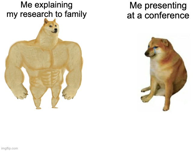 family vs conference phd | Me explaining my research to family; Me presenting at a conference | image tagged in memes,buff doge vs cheems | made w/ Imgflip meme maker