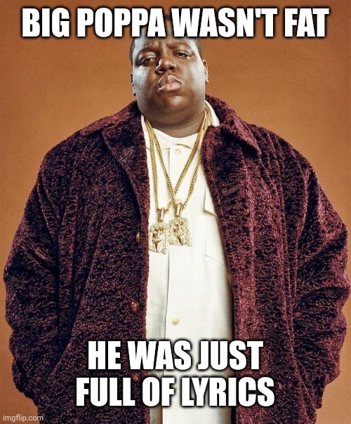 Bigg Poppa | BIG POPPA WASN'T FAT; HE WAS JUST FULL OF LYRICS | image tagged in biggie smalls,hip hop,90's | made w/ Imgflip meme maker