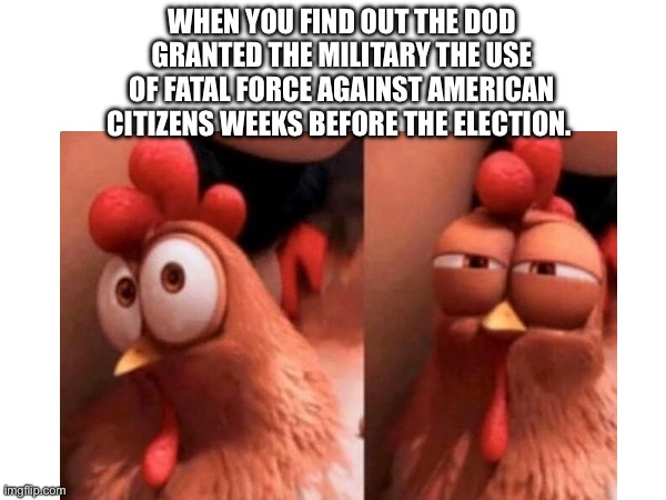 Coincidence I’m sure | WHEN YOU FIND OUT THE DOD GRANTED THE MILITARY THE USE OF FATAL FORCE AGAINST AMERICAN CITIZENS WEEKS BEFORE THE ELECTION. | made w/ Imgflip meme maker