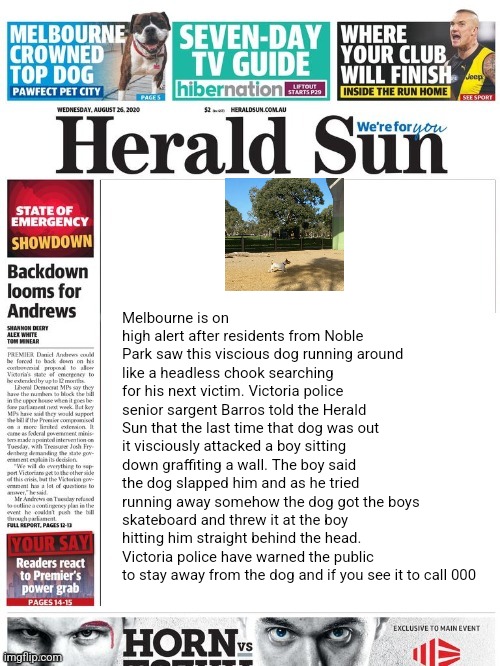 Noble park terror | Melbourne is on high alert after residents from Noble Park saw this viscious dog running around like a headless chook searching for his next victim. Victoria police senior sargent Barros told the Herald Sun that the last time that dog was out it visciously attacked a boy sitting down graffiting a wall. The boy said the dog slapped him and as he tried running away somehow the dog got the boys skateboard and threw it at the boy hitting him straight behind the head. Victoria police have warned the public to stay away from the dog and if you see it to call 000 | image tagged in blank australian herald sun newspaper jpp | made w/ Imgflip meme maker