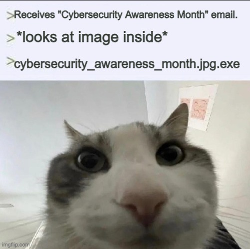 Happy Cybersecurity Awareness Month | Receives "Cybersecurity Awareness Month" email. *looks at image inside*; cybersecurity_awareness_month.jpg.exe | image tagged in cat looks inside | made w/ Imgflip meme maker