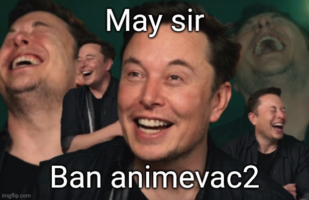 He's too sigma to be here | May sir; Ban animevac2 | image tagged in elon musk laughing | made w/ Imgflip meme maker