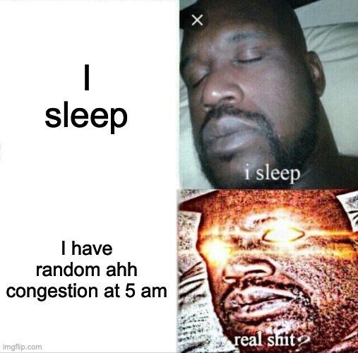 Sleeping Shaq | I sleep; I have random ahh congestion at 5 am | image tagged in memes,sleeping shaq | made w/ Imgflip meme maker