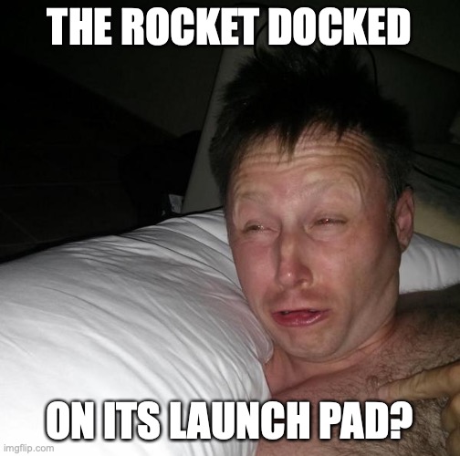 Elon Woke | THE ROCKET DOCKED; ON ITS LAUNCH PAD? | image tagged in limmy waking up | made w/ Imgflip meme maker