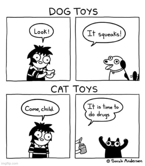 image tagged in memes,comics/cartoons,toys,squeak,catnip,drugs | made w/ Imgflip meme maker