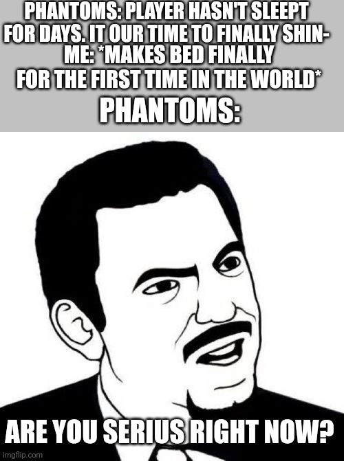 Ha! I can sleep! | PHANTOMS: PLAYER HASN'T SLEEPT FOR DAYS. IT OUR TIME TO FINALLY SHIN-; ME: *MAKES BED FINALLY FOR THE FIRST TIME IN THE WORLD*; PHANTOMS:; ARE YOU SERIUS RIGHT NOW? | image tagged in memes,seriously face,sleeping,phantom,bed | made w/ Imgflip meme maker