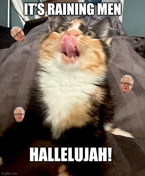 It’s Raining Men | IT’S RAINING MEN; HALLELUJAH! | image tagged in it s raining men,cats,raining,men,cute cat,cute animals | made w/ Imgflip meme maker