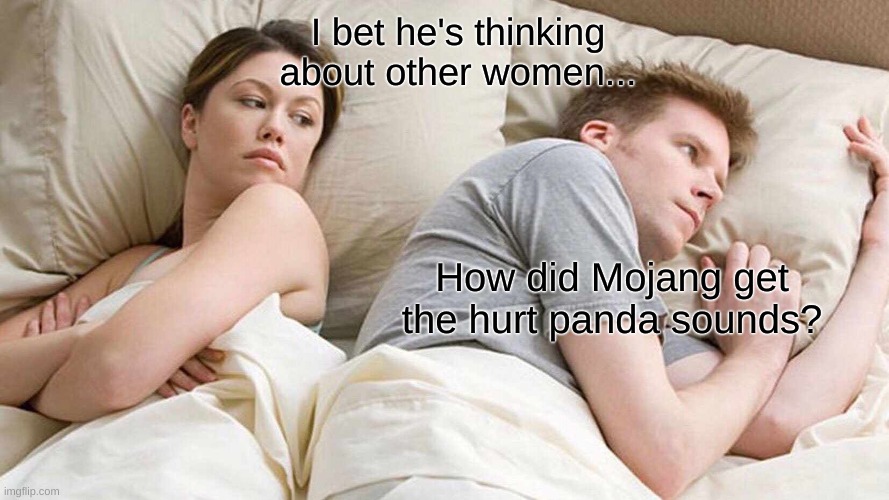 breh | I bet he's thinking about other women... How did Mojang get the hurt panda sounds? | image tagged in memes,i bet he's thinking about other women | made w/ Imgflip meme maker