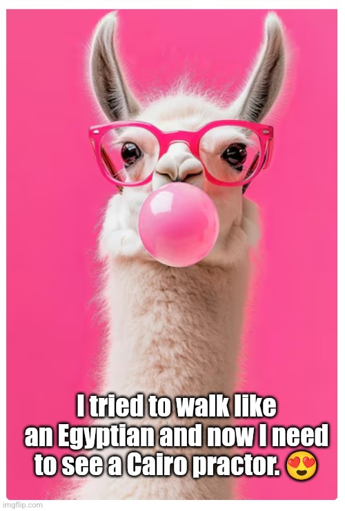 Alpaca Lol | I tried to walk like an Egyptian and now I need to see a Cairo practor. 😍 | image tagged in alpaca,funny,lol,laughing,bubblegum | made w/ Imgflip meme maker