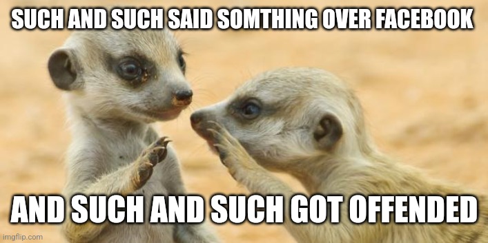 Facebook gossip be like | SUCH AND SUCH SAID SOMTHING OVER FACEBOOK; AND SUCH AND SUCH GOT OFFENDED | image tagged in gossip meerkats,memes,facebook,facebook problems | made w/ Imgflip meme maker