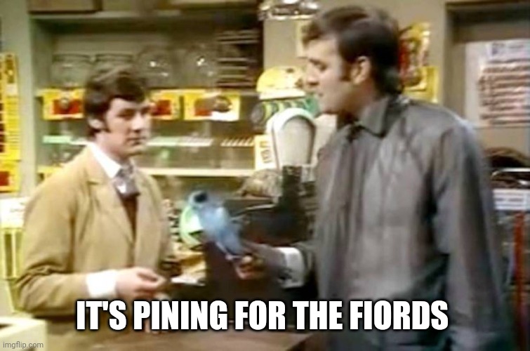 Monty python dead parrot | IT'S PINING FOR THE FIORDS | image tagged in monty python dead parrot | made w/ Imgflip meme maker