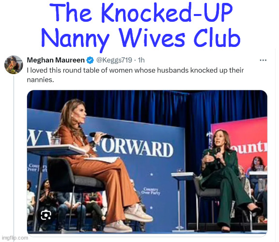 One of the UniParty's most exclusive clubs... | The Knocked-UP Nanny Wives Club | image tagged in the knocked-up nanny wives club,accepting new members,kamala harris | made w/ Imgflip meme maker