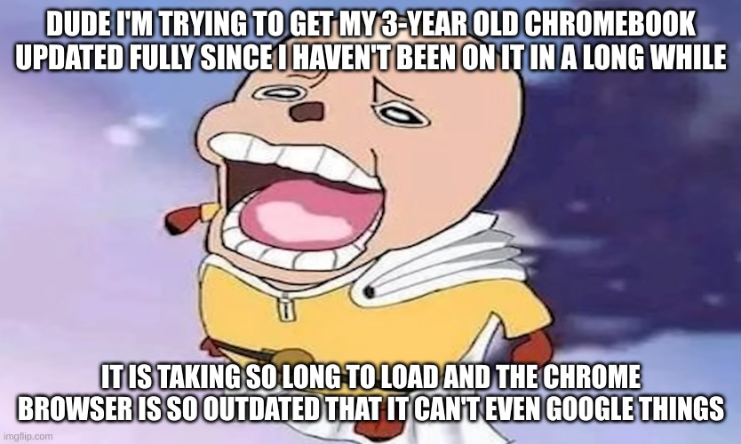 Posting this from that chromebook btw | DUDE I'M TRYING TO GET MY 3-YEAR OLD CHROMEBOOK UPDATED FULLY SINCE I HAVEN'T BEEN ON IT IN A LONG WHILE; IT IS TAKING SO LONG TO LOAD AND THE CHROME BROWSER IS SO OUTDATED THAT IT CAN'T EVEN GOOGLE THINGS | image tagged in one-punch chopper | made w/ Imgflip meme maker