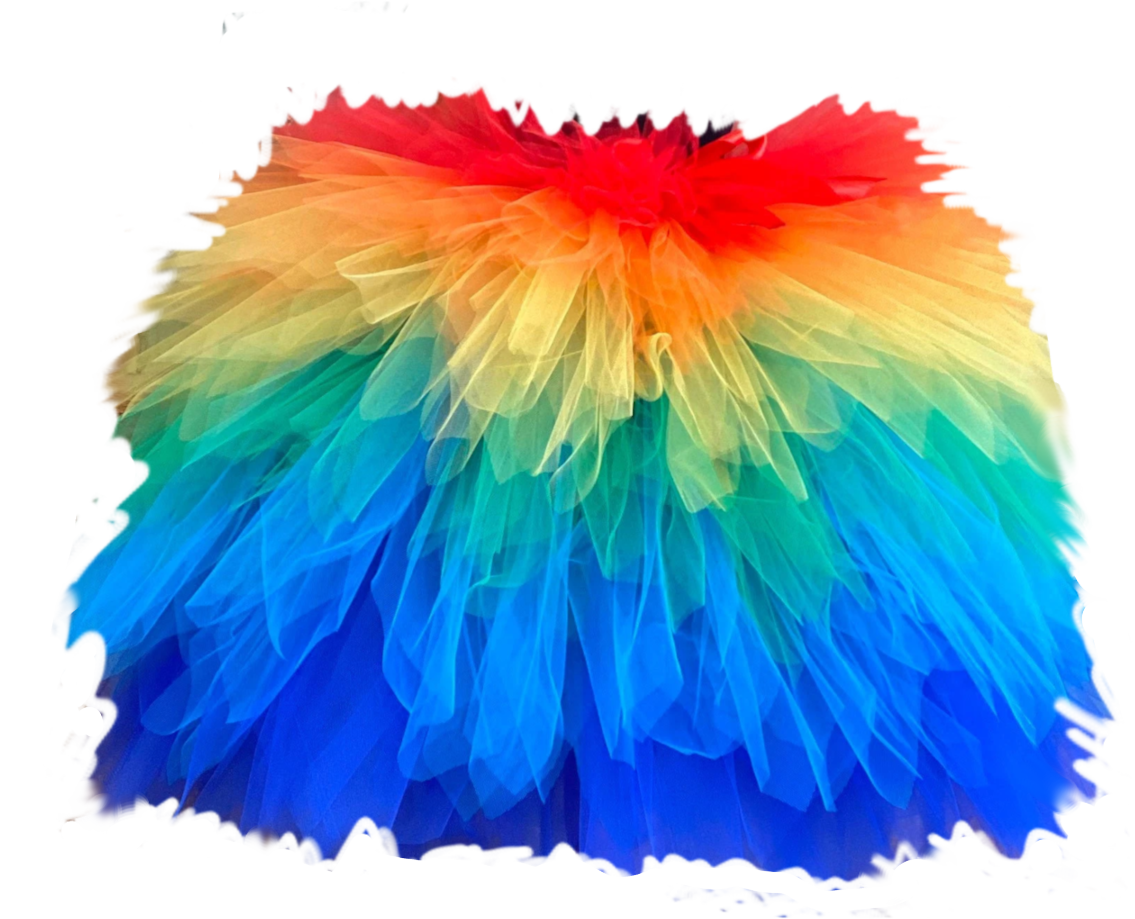 TUTU MUCH RAINBOW Blank Meme Template