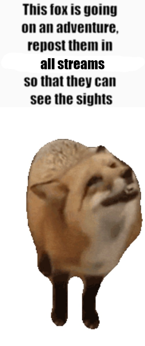 This Fox is Going on an Adventure Blank Meme Template