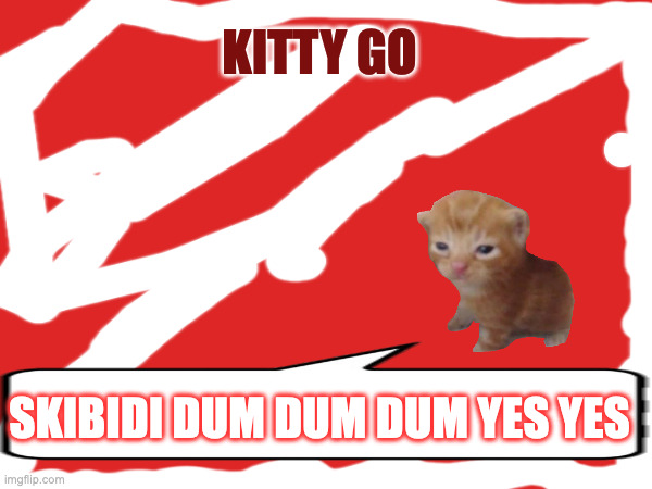 Skibidi cat | KITTY GO; SKIBIDI DUM DUM DUM YES YES | image tagged in funny cat memes | made w/ Imgflip meme maker