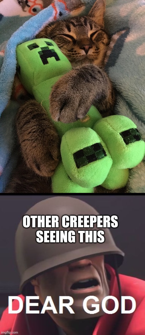 Creepers: pay respect for not dyeing in cat's paws | OTHER CREEPERS SEEING THIS | image tagged in cat hugging creeper,dear god,creeper,shocked | made w/ Imgflip meme maker