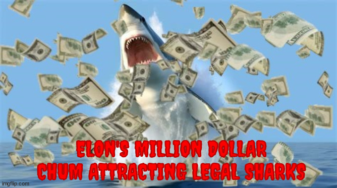 Musk's million dollar chum chump | ELON'S MILLION DOLLAR CHUM ATTRACTING LEGAL SHARKS | image tagged in musk's million dollar chum,trump's whitetrashnalist party,merrick who,the langoliers,legal jaws,maga money | made w/ Imgflip meme maker