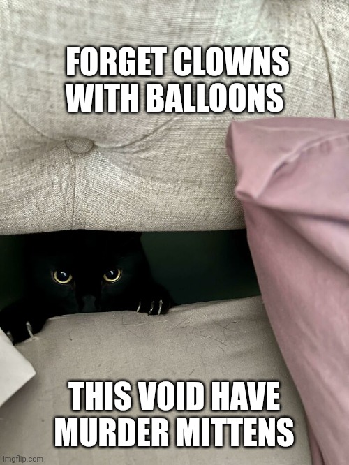 Black cat | FORGET CLOWNS WITH BALLOONS; THIS VOID HAVE MURDER MITTENS | image tagged in black cat | made w/ Imgflip meme maker