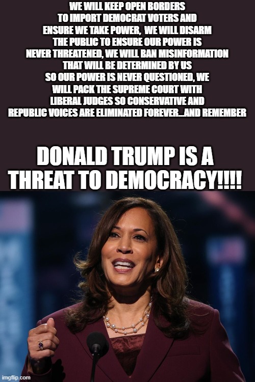 its going to happen sooner or later , but we can put it off for another 4 years if we ban together . | WE WILL KEEP OPEN BORDERS TO IMPORT DEMOCRAT VOTERS AND ENSURE WE TAKE POWER,  WE WILL DISARM THE PUBLIC TO ENSURE OUR POWER IS NEVER THREATENED, WE WILL BAN MISINFORMATION THAT WILL BE DETERMINED BY US SO OUR POWER IS NEVER QUESTIONED, WE WILL PACK THE SUPREME COURT WITH LIBERAL JUDGES SO CONSERVATIVE AND REPUBLIC VOICES ARE ELIMINATED FOREVER...AND REMEMBER; DONALD TRUMP IS A THREAT TO DEMOCRACY!!!! | image tagged in funny memes,political meme,truth,donald trump approves,stupid liberals,politics | made w/ Imgflip meme maker