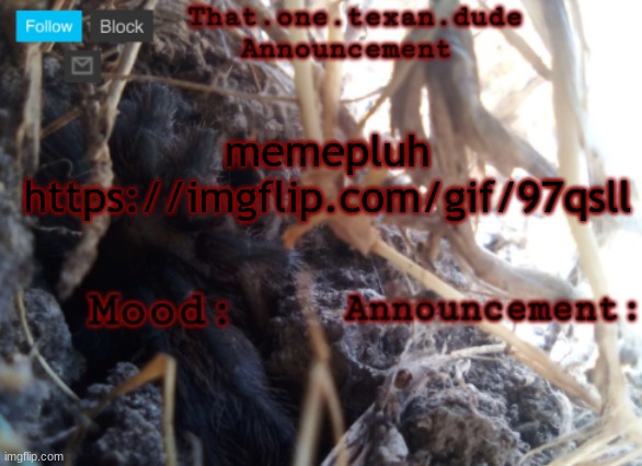 THE that.one.texan.dude announcement template | memepluh
https://imgflip.com/gif/97qsll | image tagged in the that one texan dude announcement template | made w/ Imgflip meme maker