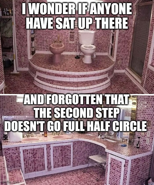 Bathroom throne | I WONDER IF ANYONE HAVE SAT UP THERE; AND FORGOTTEN THAT THE SECOND STEP DOESN'T GO FULL HALF CIRCLE | image tagged in bathroom throne | made w/ Imgflip meme maker