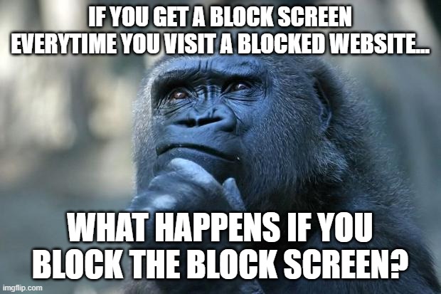 plot twist | IF YOU GET A BLOCK SCREEN EVERYTIME YOU VISIT A BLOCKED WEBSITE... WHAT HAPPENS IF YOU BLOCK THE BLOCK SCREEN? | image tagged in deep thoughts,hmm,memes,meme,funny,monkey | made w/ Imgflip meme maker