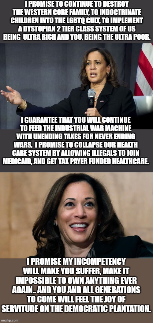 the democrat dream | I PROMISE TO CONTINUE TO DESTROY THE WESTERN CORE FAMILY, TO INDOCTRINATE CHILDREN INTO THE LGBTQ CULT, TO IMPLEMENT A DYSTOPIAN 2 TIER CLASS SYSTEM OF US BEING  ULTRA RICH AND YOU, BEING THE ULTRA POOR. I GUARANTEE THAT YOU WILL CONTINUE TO FEED THE INDUSTRIAL WAR MACHINE WITH UNENDING TAXES FOR NEVER ENDING WARS,  I PROMISE TO COLLAPSE OUR HEALTH CARE SYSTEM BY ALLOWING ILLEGALS TO JOIN MEDICAID, AND GET TAX PAYER FUNDED HEALTHCARE. I PROMISE MY INCOMPETENCY WILL MAKE YOU SUFFER, MAKE IT IMPOSSIBLE TO OWN ANYTHING EVER AGAIN.. AND YOU AND ALL GENERATIONS TO COME WILL FEEL THE JOY OF SERVITUDE ON THE DEMOCRATIC PLANTATION. | image tagged in sad,truth,stupid liberals,kamala harris,the devil,donald trump approves | made w/ Imgflip meme maker