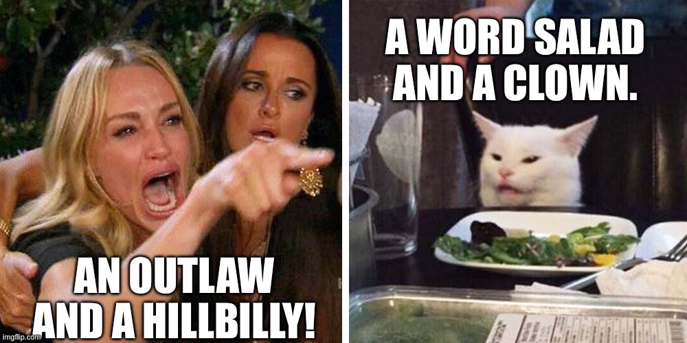 Trump/Vance or Harris/Walz? | A WORD SALAD AND A CLOWN. AN OUTLAW AND A HILLBILLY! | image tagged in smudge the cat,donald trump,memes,karen,kamala harris | made w/ Imgflip meme maker