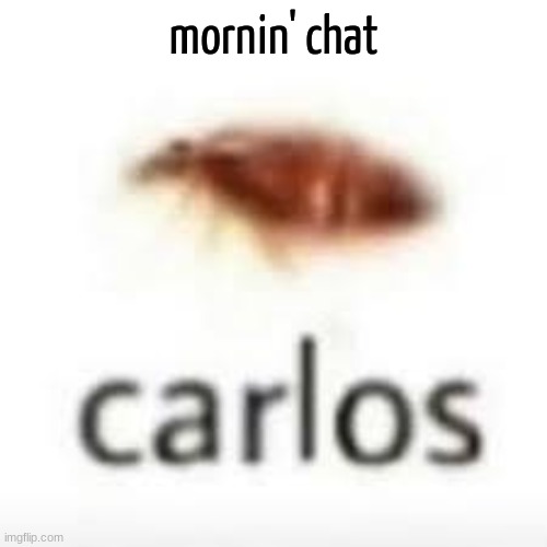 carlos. | mornin' chat | image tagged in carlos | made w/ Imgflip meme maker