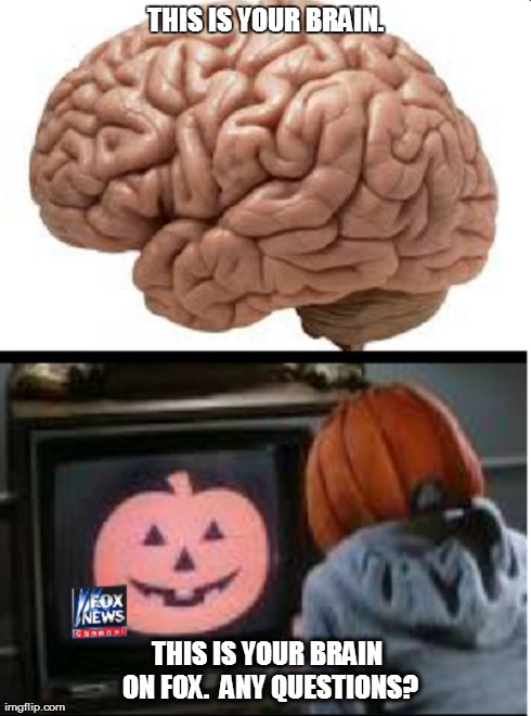 THIS IS YOUR BRAIN. THIS IS YOUR BRAIN ON FOX.  ANY QUESTIONS? | image tagged in memes,politics | made w/ Imgflip meme maker