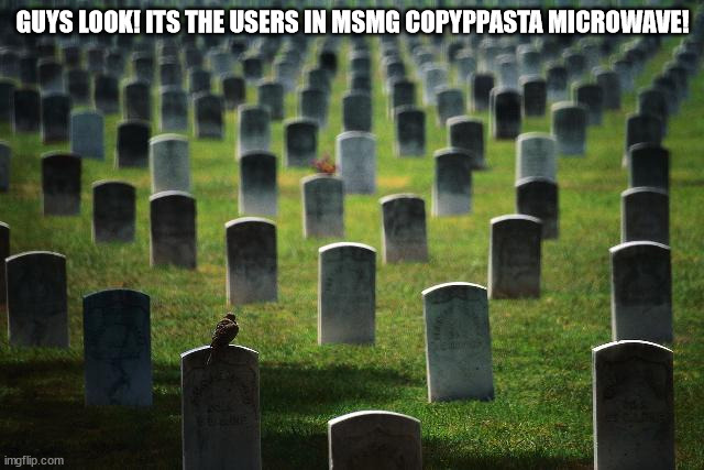 half of them are deleted | GUYS LOOK! ITS THE USERS IN MSMG COPYPPASTA MICROWAVE! | image tagged in graveyard cemetary | made w/ Imgflip meme maker