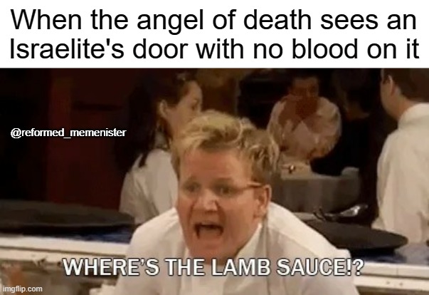 Gordon Ramsay Where's the lamb sauce? | When the angel of death sees an Israelite's door with no blood on it; @reformed_memenister | image tagged in gordon ramsay where's the lamb sauce | made w/ Imgflip meme maker