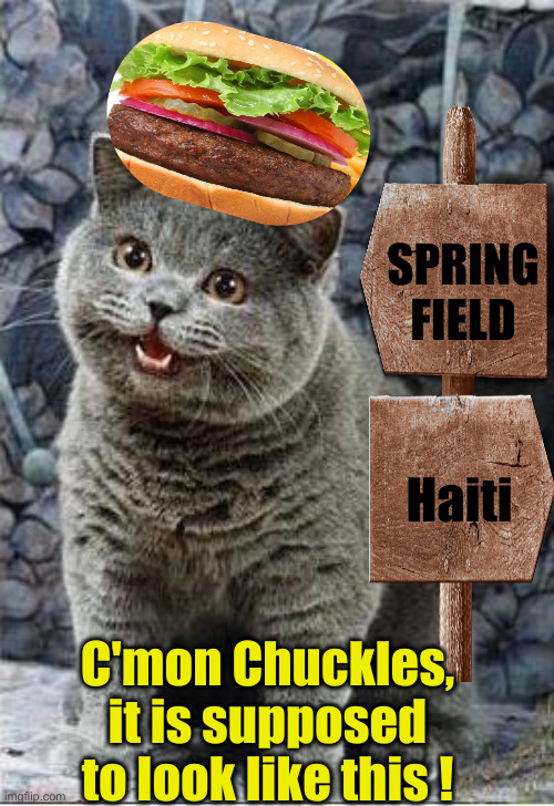 I can has cheezburger cat | C'mon Chuckles, it is supposed to look like this ! SPRING
FIELD Haiti | image tagged in i can has cheezburger cat | made w/ Imgflip meme maker