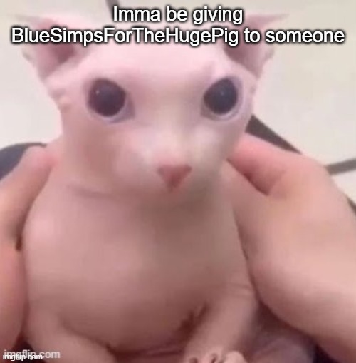 bingus | Imma be giving BlueSimpsForTheHugePig to someone | image tagged in bingus | made w/ Imgflip meme maker