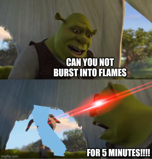 Shrek For Five Minutes | CAN YOU NOT BURST INTO FLAMES; FOR 5 MINUTES!!!! | image tagged in shrek for five minutes | made w/ Imgflip meme maker