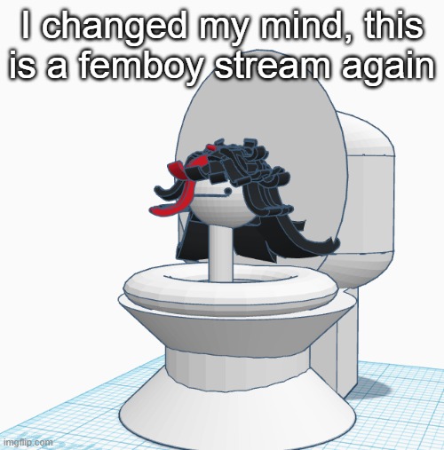 Claire Skibidi Toilet | I changed my mind, this is a femboy stream again | image tagged in claire skibidi toilet | made w/ Imgflip meme maker